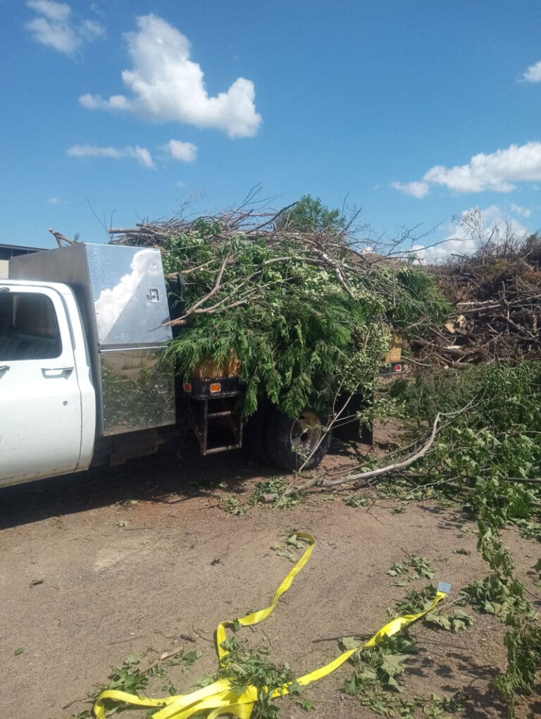 Truck-loaded-with-limbs